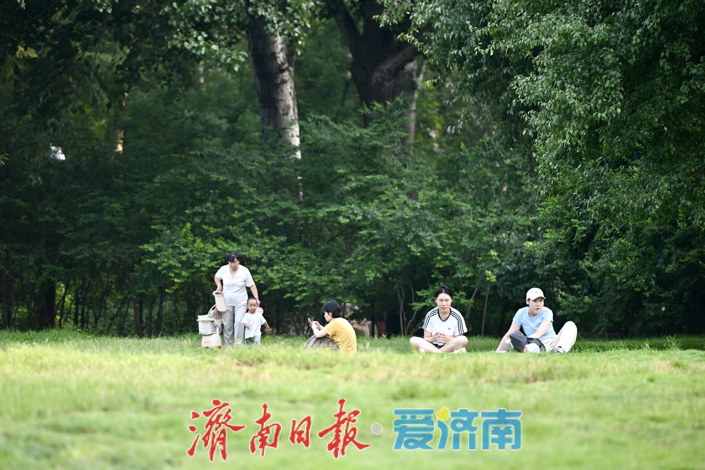 一年四季 泉在济南丨济南森林公园绿地草坪变身避暑胜地，市民林间纳凉乐享夏日慢时光
