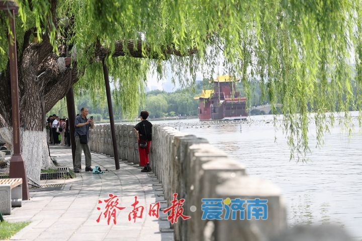 雨后清风拂面，大明湖成市民纳凉优选地
