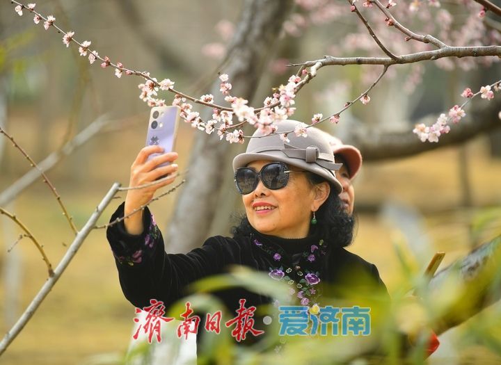 又是一年春时到，桃花依旧笑春风