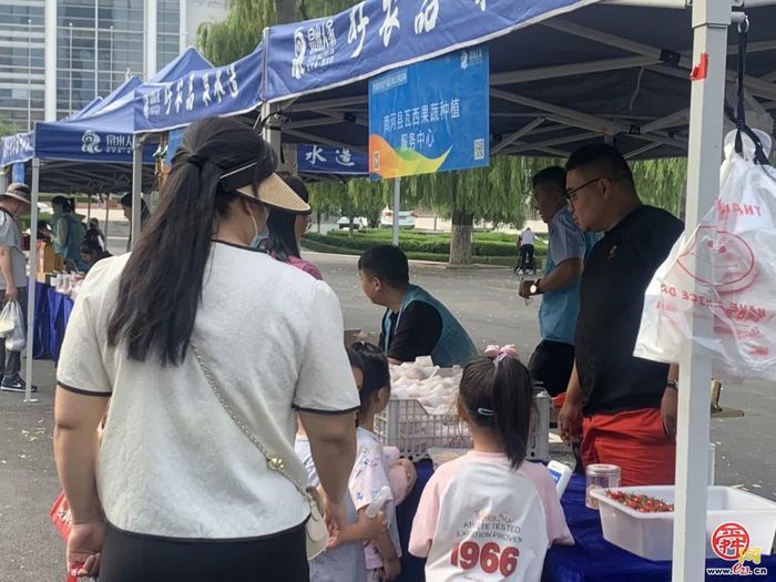 “杏”运随行 泉水人家社区里再开集