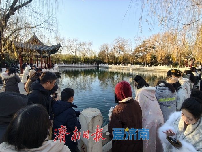 济南珍珠泉碧水锦鲤醉游人