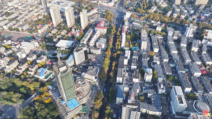 强省会建设丨历下区解放路街道：助企餐车进楼宇