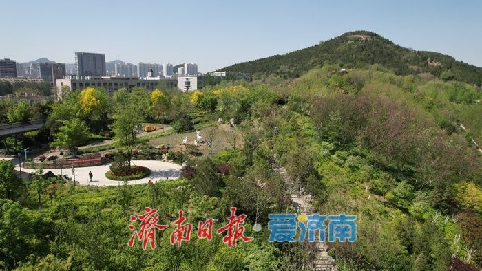 济南茂岭山山体公园绿意盎然，市民乐享绿色生态空间