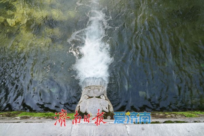 一年四季 泉在济南丨“千泉竞涌”引客来，济南迎最佳赏泉季