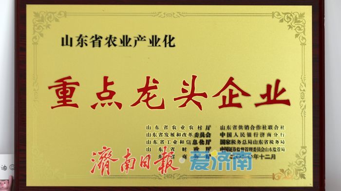 我们村的新农人 