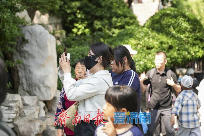 一年四季 泉在济南｜环城公园双虎雕塑成亲子打卡“新宠”