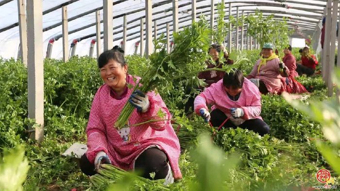 听，加压奋进的新乐章在章丘奏响！