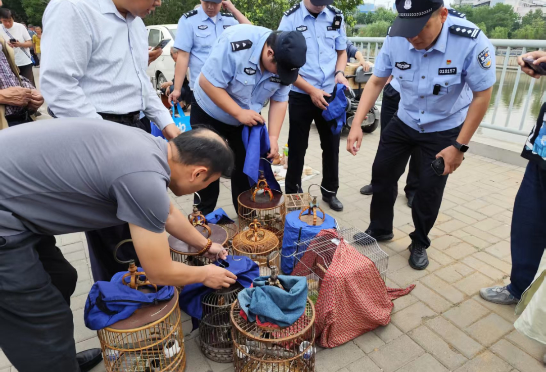 城市因园林更美好 生活因园林更幸福——2025年济南市园林和林业绿化局高质量成果展