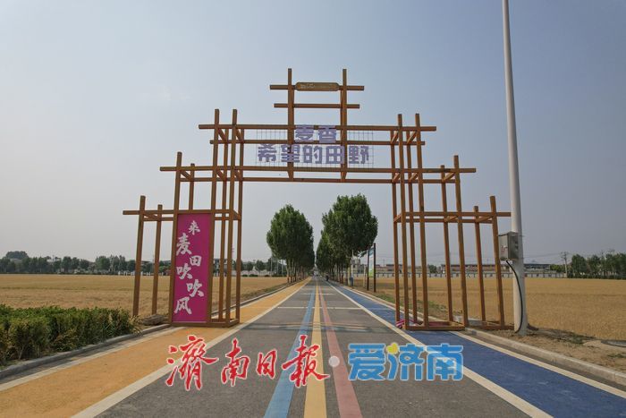 一年四季 泉在济南丨麦浪翻金迎端午