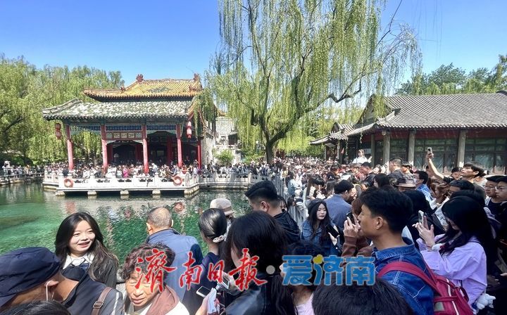 雨润泉涌引客来！趵突泉畔游人如织