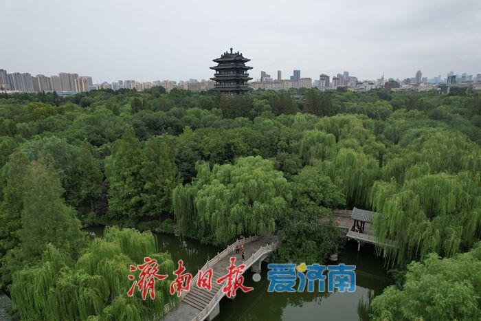烟雨明湖 水墨泉城