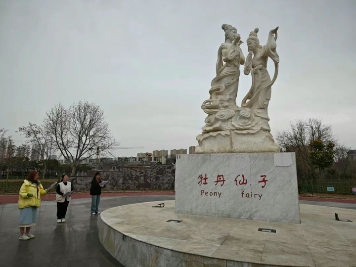 四大展区首揭秘，牡丹名品齐亮相！菏泽牡丹景区精心打造多个牡丹功能区