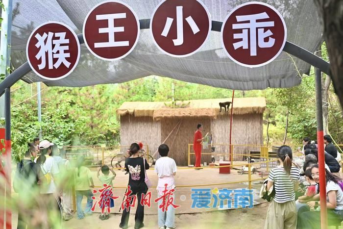 玉符河畔放个假！秘境石崮寨金秋上新
