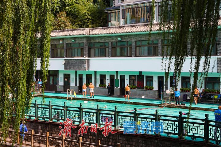 一年四季 泉在济南丨清波映秋 泳者如常