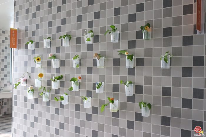 济南市天桥区枫景小学开展植树节活动