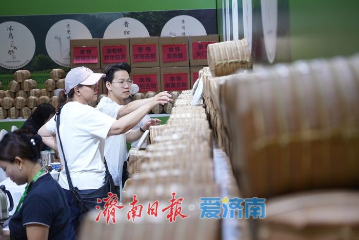 泉城茶飘香！第二十届济南国际茶产业博览会启幕