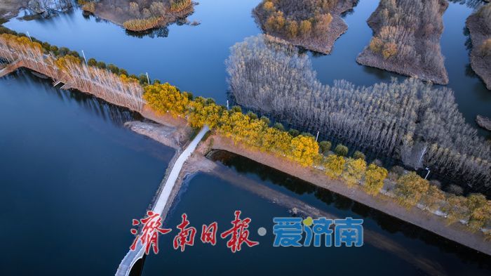 一年四季 泉在济南丨济南小清河源头湿地公园：冬日航拍镜头下，生态画卷静谧绚烂