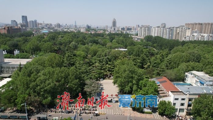 一年四季 泉在济南｜暮春时节百花公园，满目绿意处处皆景