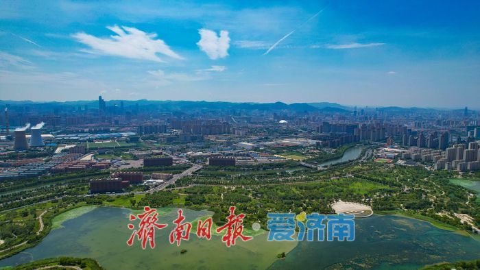 一年四季 泉在济南｜暑气未消立秋至 华山湖绿意盎然生机无限