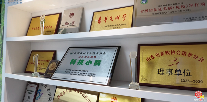 黑猪养在山林，肉过“清水关”    泉水人家的源虎黑猪肉把“慢猪”做成“长链”