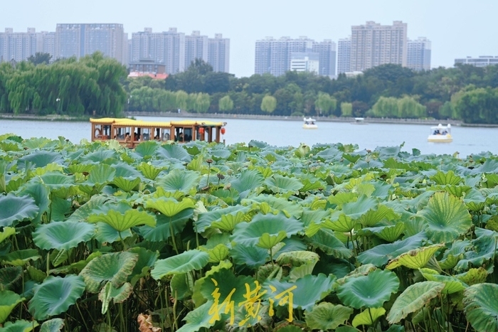 趵突泉、大明湖、五龙潭、环城公园联动，国庆中秋游园会即将欢乐开启