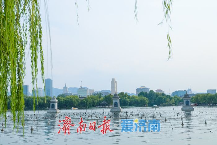 大明湖秋日湖光如画 游人泛舟享闲情