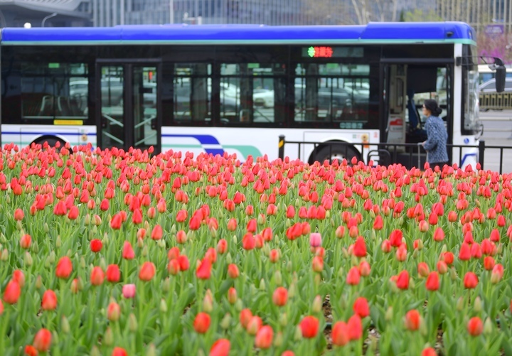 春花烂漫时，“郁”见你真好
