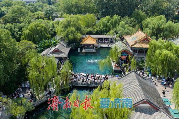 一年四季 泉在济南丨舒适度拉满！初秋趵突泉成暑期出游热门打卡地