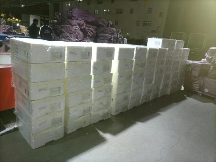 创新冷链运输新模式，山航助力“金砖航线”保畅保通