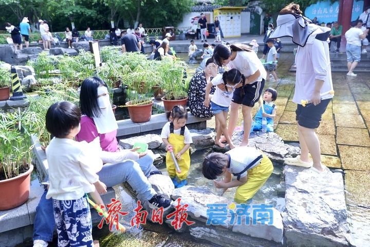 一年四季 泉在济南丨戏水亲泉寻清凉