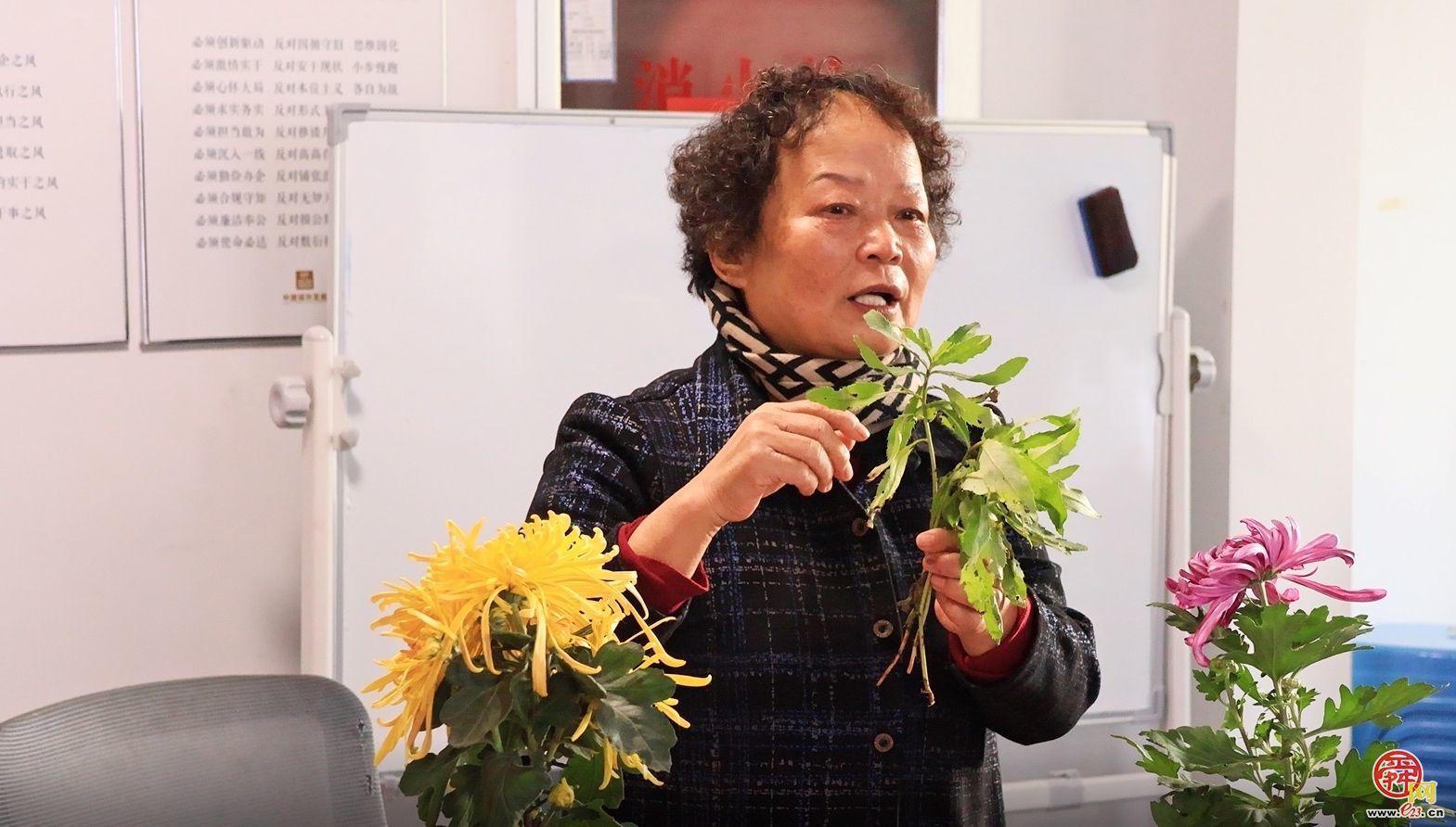 添秋韵！济南“园・林惠民行”开展“菊香泉城・手作拾秋”主题科普体验活动