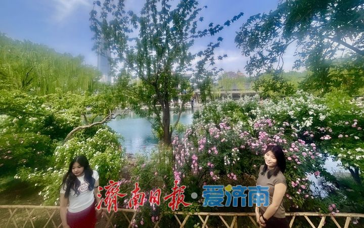 一年四季 泉在济南｜泉城景区预热“五一”