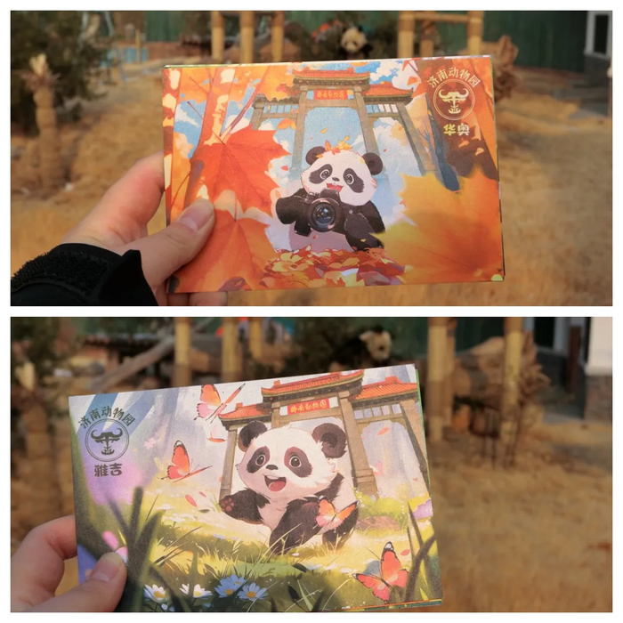 “泉”在济南过五一｜济南动物园建园65周年，这个五一快来寻找你的童年记忆