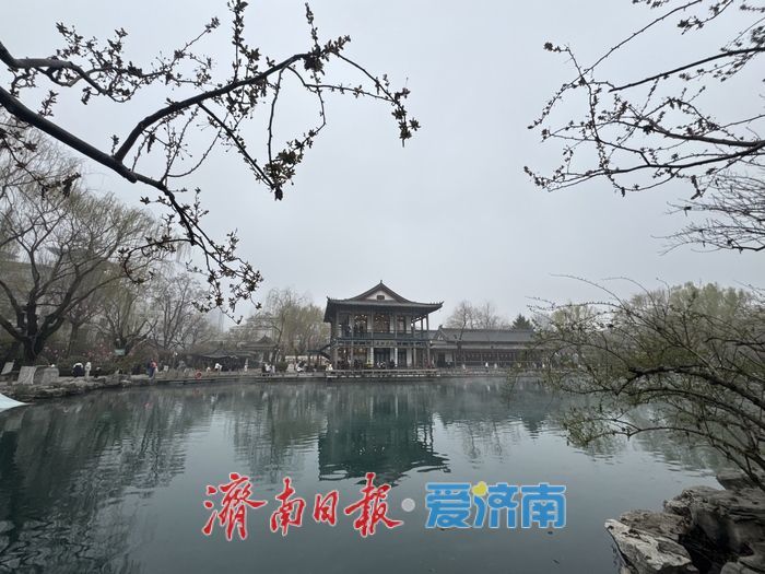 大雾润泉城 五龙潭宛若水墨画卷