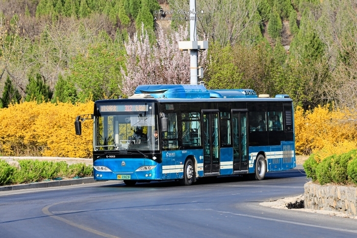 清明祭扫、踏青，这份公交出行服务指南请收好