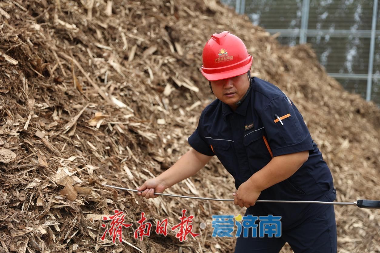 国庆我在岗丨秸秆焕新！坚守护绿电，孕育生态新动能