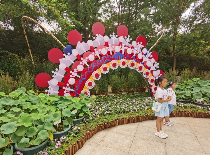 荷花小景扮靓夏日明湖