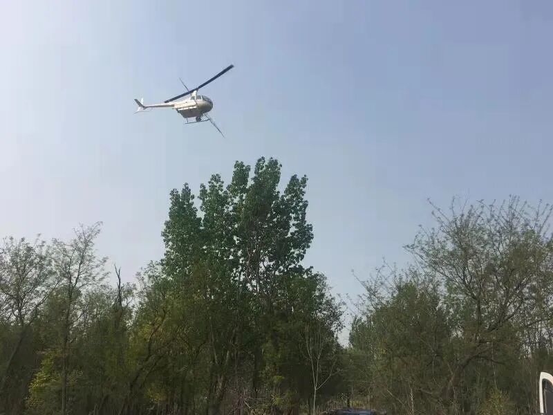 城市因园林更美好 生活因园林更幸福——2025年济南市园林和林业绿化局高质量成果展