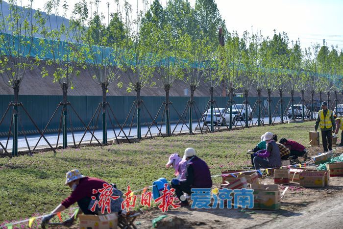 港九路拓宽改造将迎来新景观