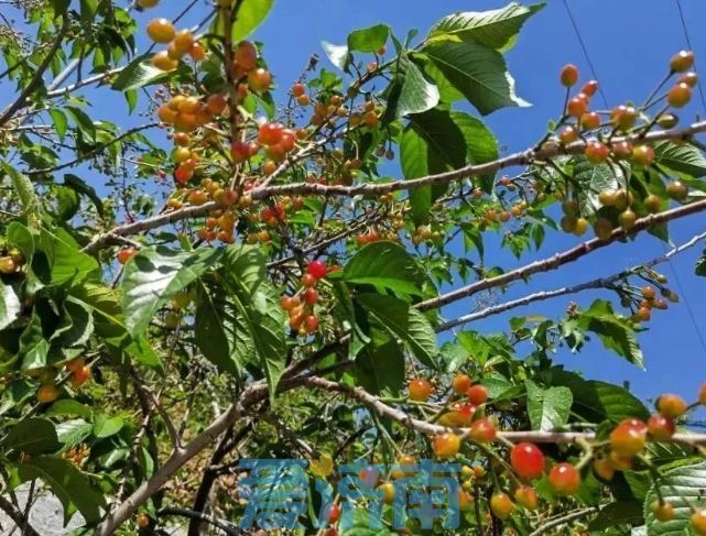 春日济南一路繁花，济南区县“五一”多彩文旅活动等你来打卡