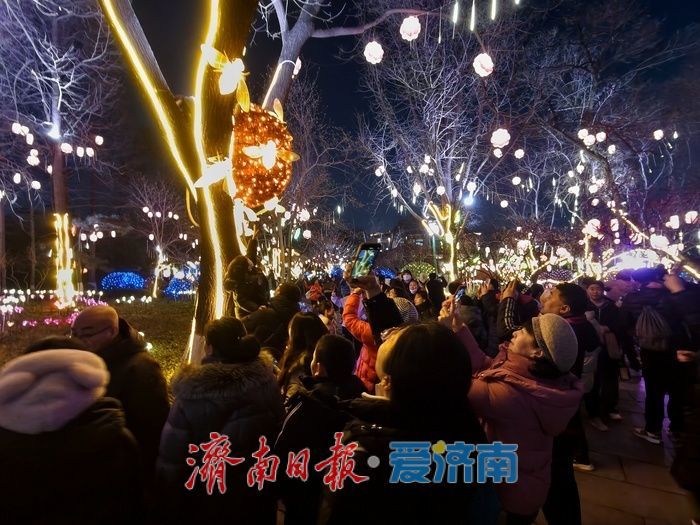 一年四季 泉在济南丨火树银花不夜天，五龙潭迎春花灯盛宴催热泉城“夜经济”