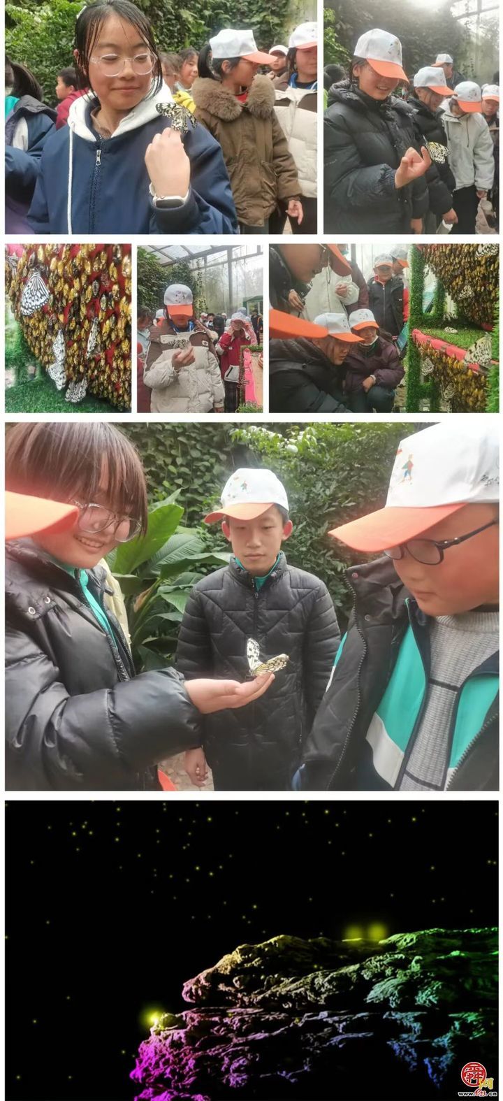 冬日研学不打烊！18℃天然课堂让教育暖起来