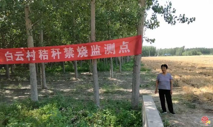 三夏生产美如画  金穗飘香迎丰收——白云湖街道“三夏”生产紧锣密鼓