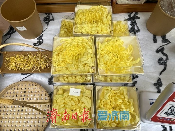 一年四季 泉在济南丨趵突泉菊展人气旺，市集鲜食引客来