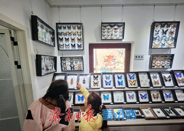 一年四季 泉在济南丨老街藏秘境 潮趣引客来