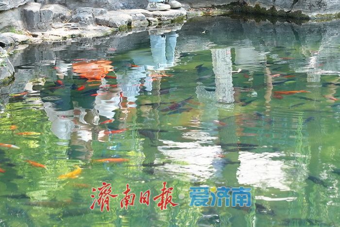 一年四季 泉在济南丨“泉如其名”，畅享无忧泉畔惬意时光