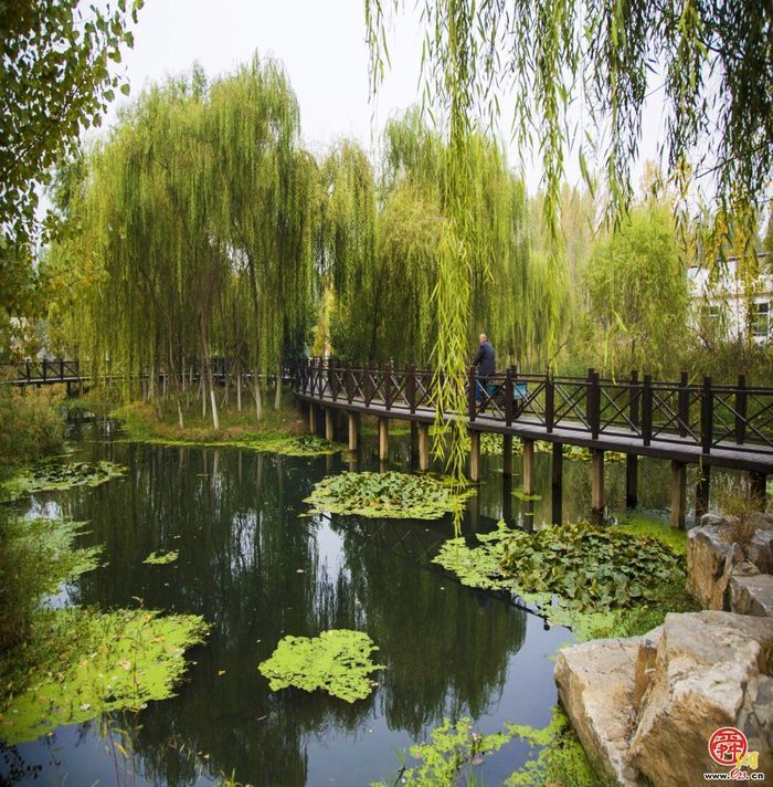 点击进入DeepSeek眼中玉清湖街道！