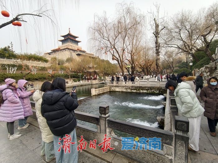 一年四季 泉在济南｜张灯结彩，年味渐浓！