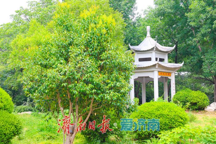 夏日寻凉正当时 树荫露营解锁都市微度假新方式
