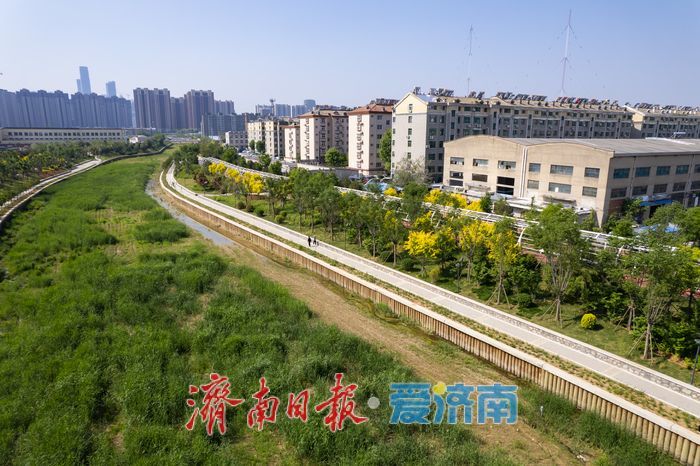 大辛河畔绿意浓，市民乐享“家门口”的春日假期